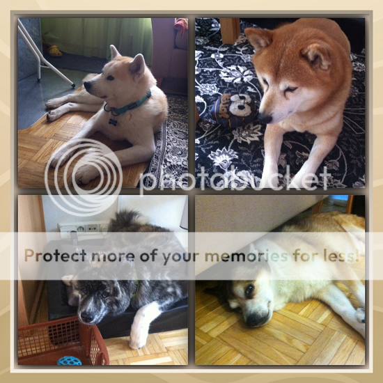 photo 2015-04-19 18.08.55.png