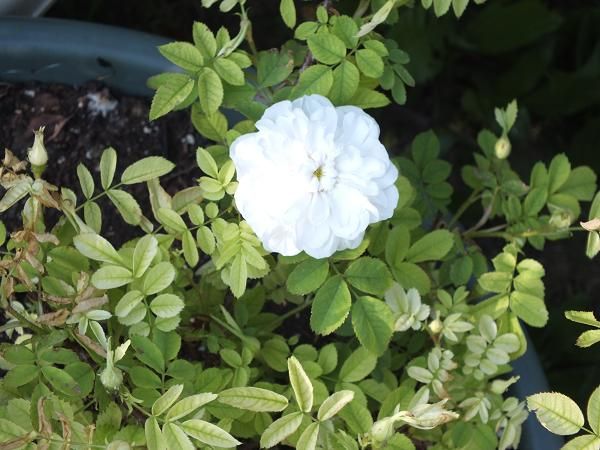  photo stan_zps688d6c00.jpg