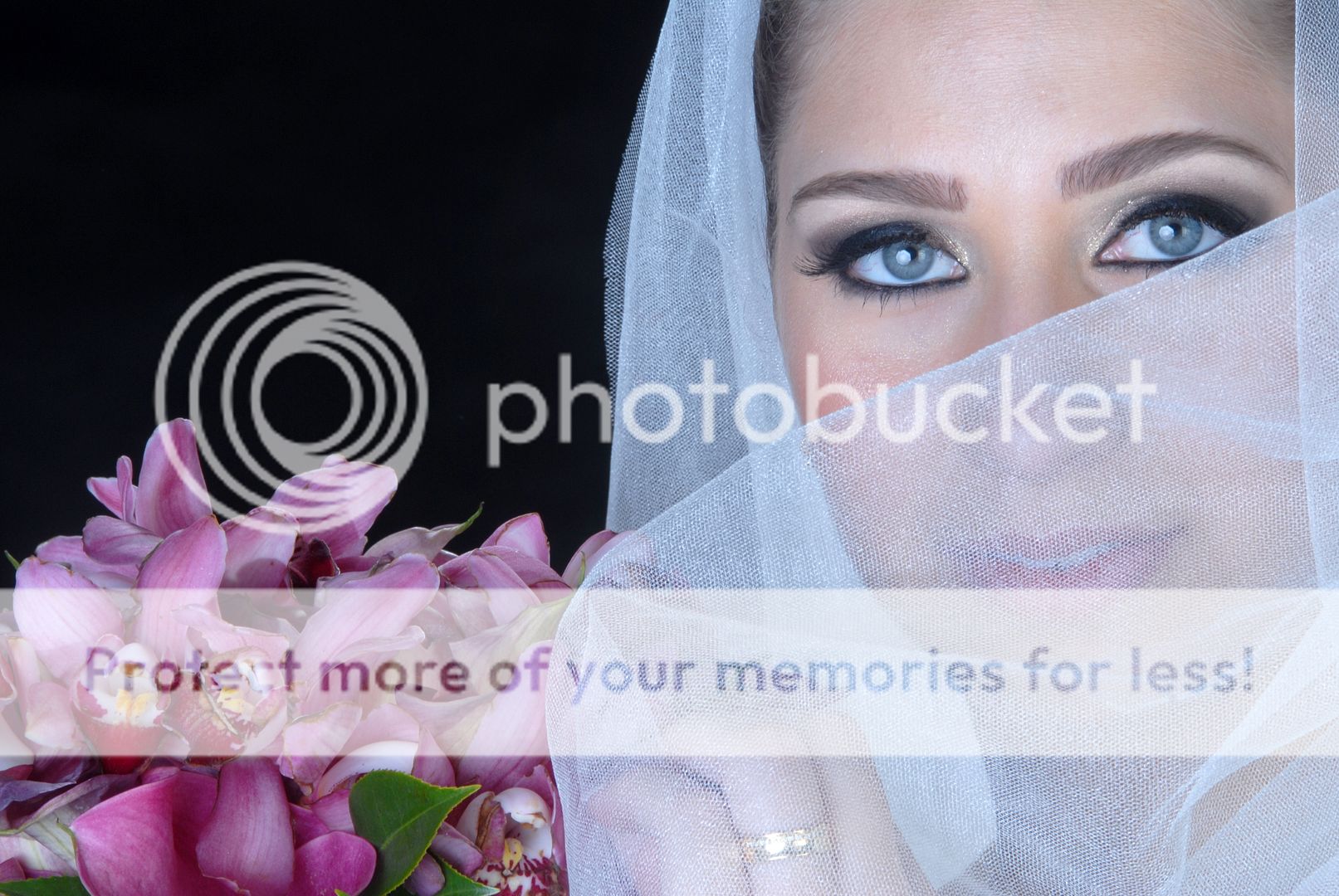 photo IMG_4392_zps5s5px5iy.jpg