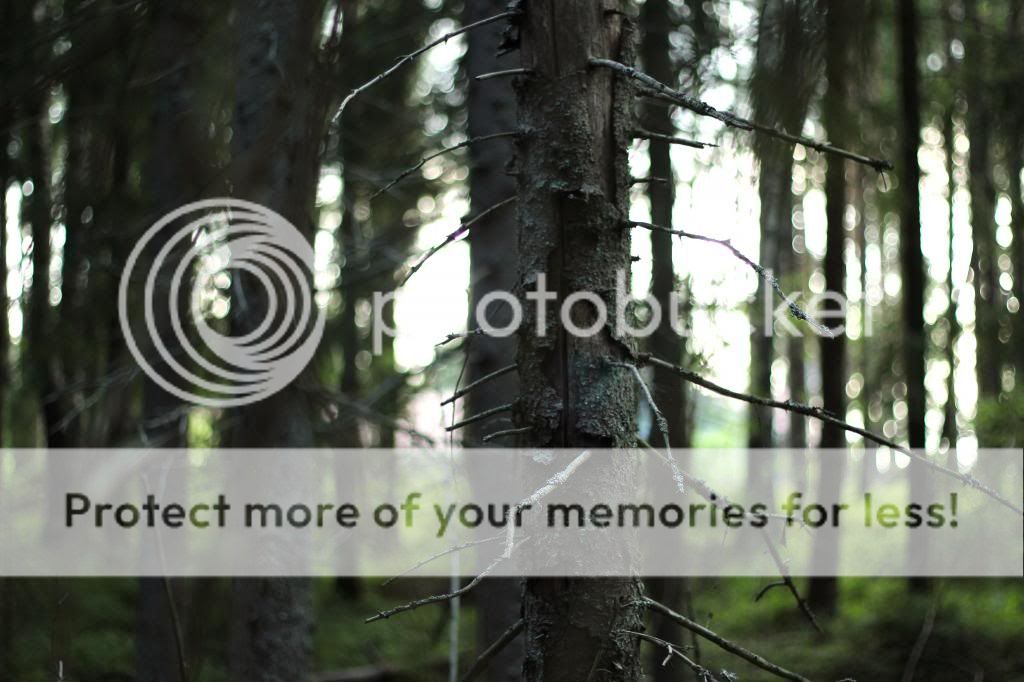  photo hihireal4_zpsf9bdd752.jpg