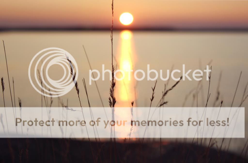  photo kouml_havet4_zpsaff94ae6.jpg