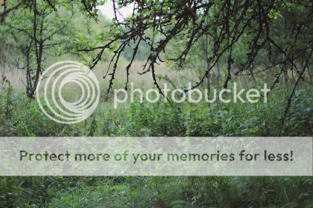  photo tie3_zps0fd4e665.jpg