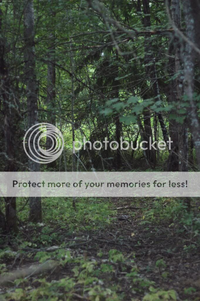  photo tie4_zps3ff66f54.jpg