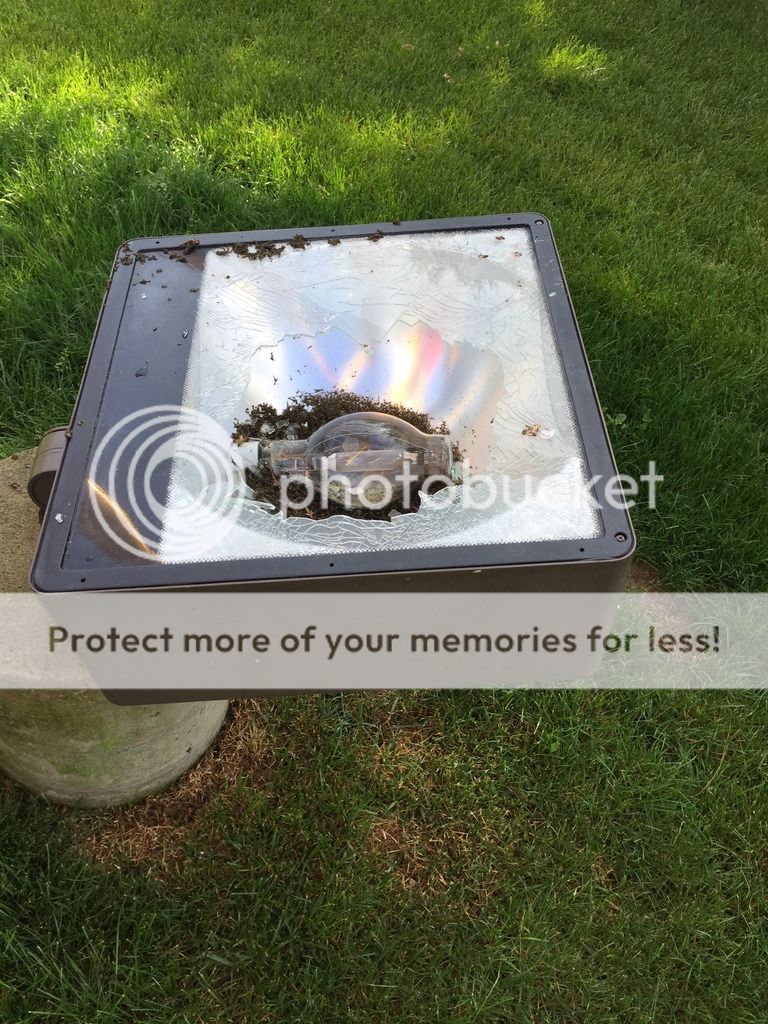 D757685E-D553-474E-8848-1D9893ECDB03_zps