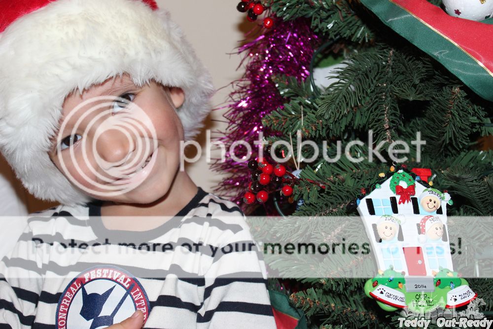 Teddy Ornaments with Love