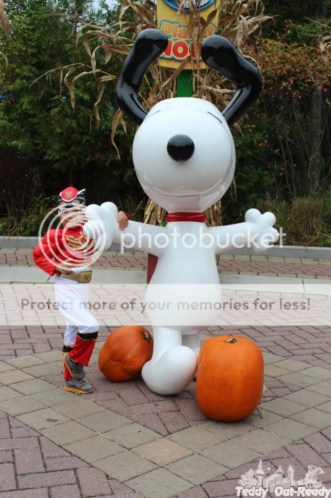 photo TeddyRedRanger_zps0a1e72bc.jpg