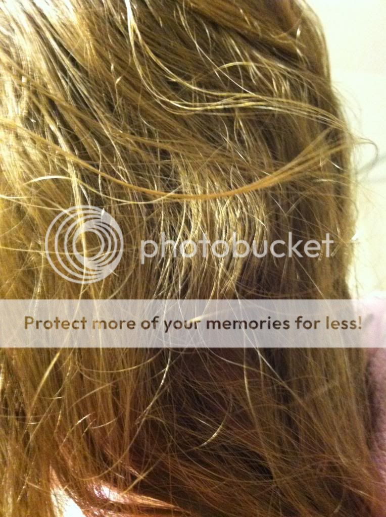 The Long Hair Community Discussion Boards