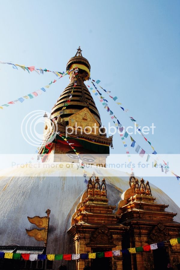 photo ac8d7dac-7f9d-4e19-815c-9c7facab2f92_zps26b0bb6f.jpg