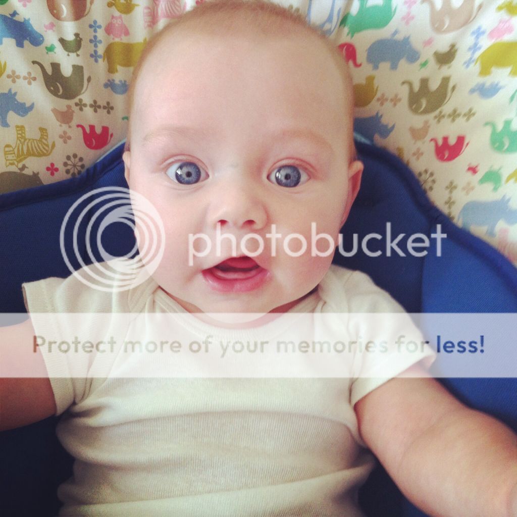  photo e0e201e2f7043492a21b71a51ccd2cdf_zps5ae1cf6e.jpg