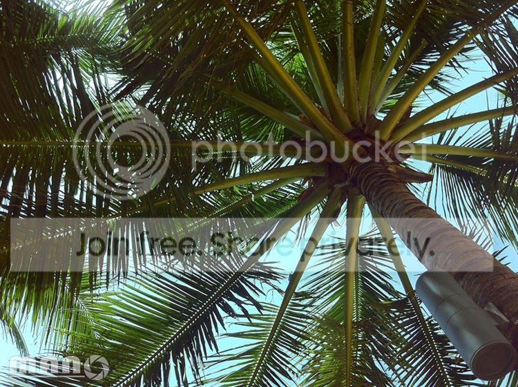 random27_zps1cd66872.jpg